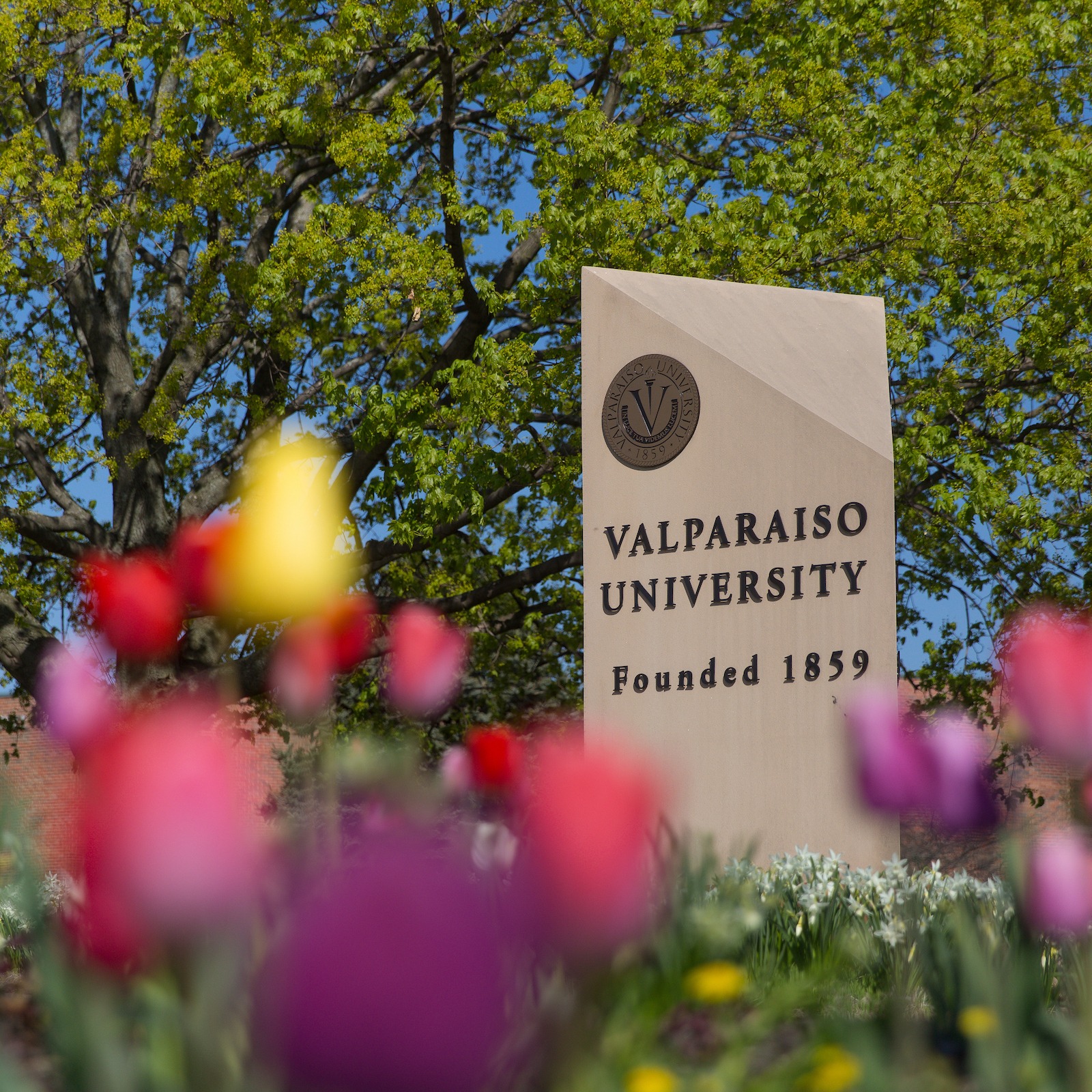 Valparaiso University - Student Engagement & Experiences