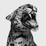 Cate