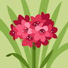 Poppy