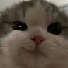srsly.midaris.vlog