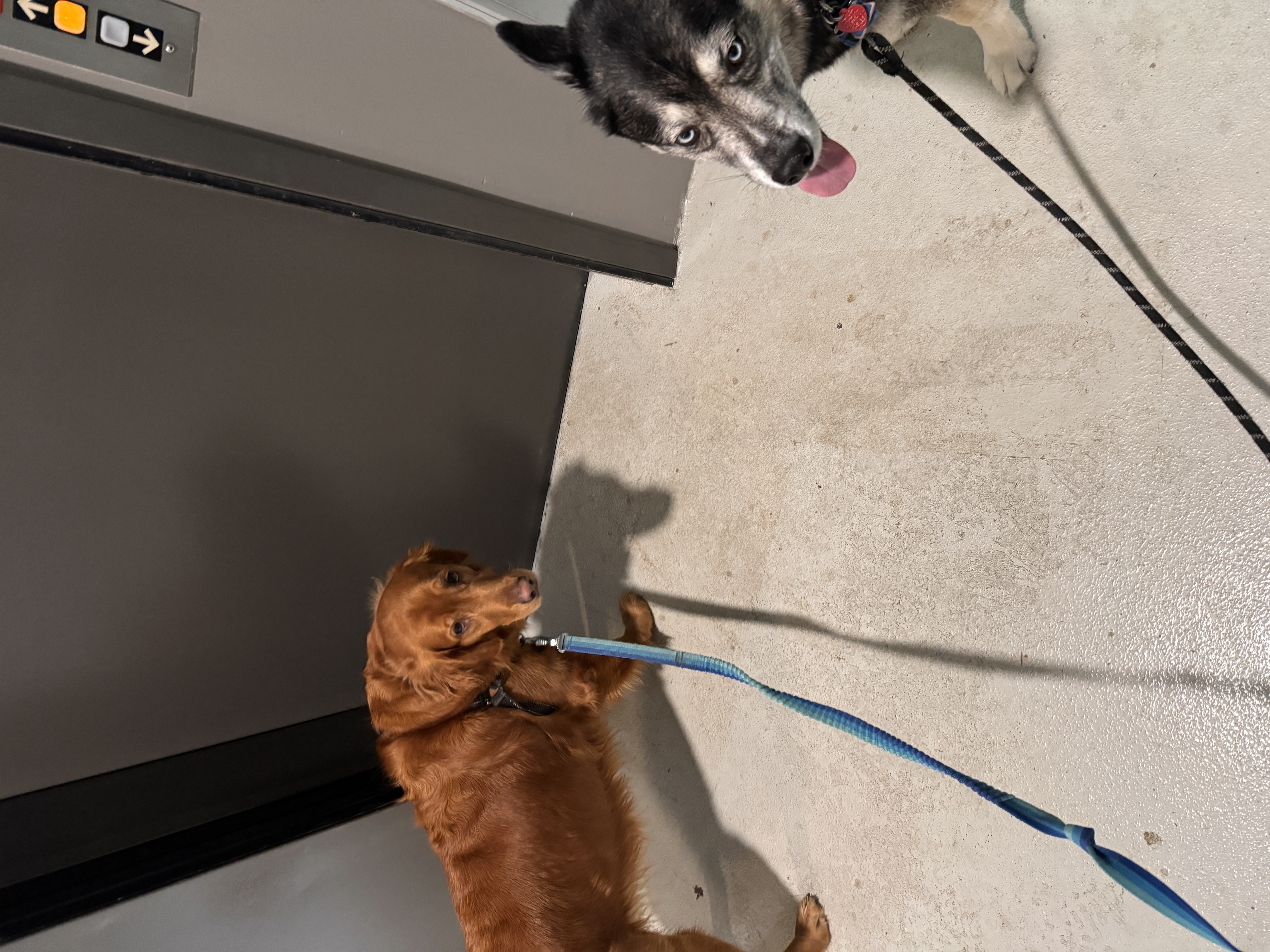 MollyAndBilly