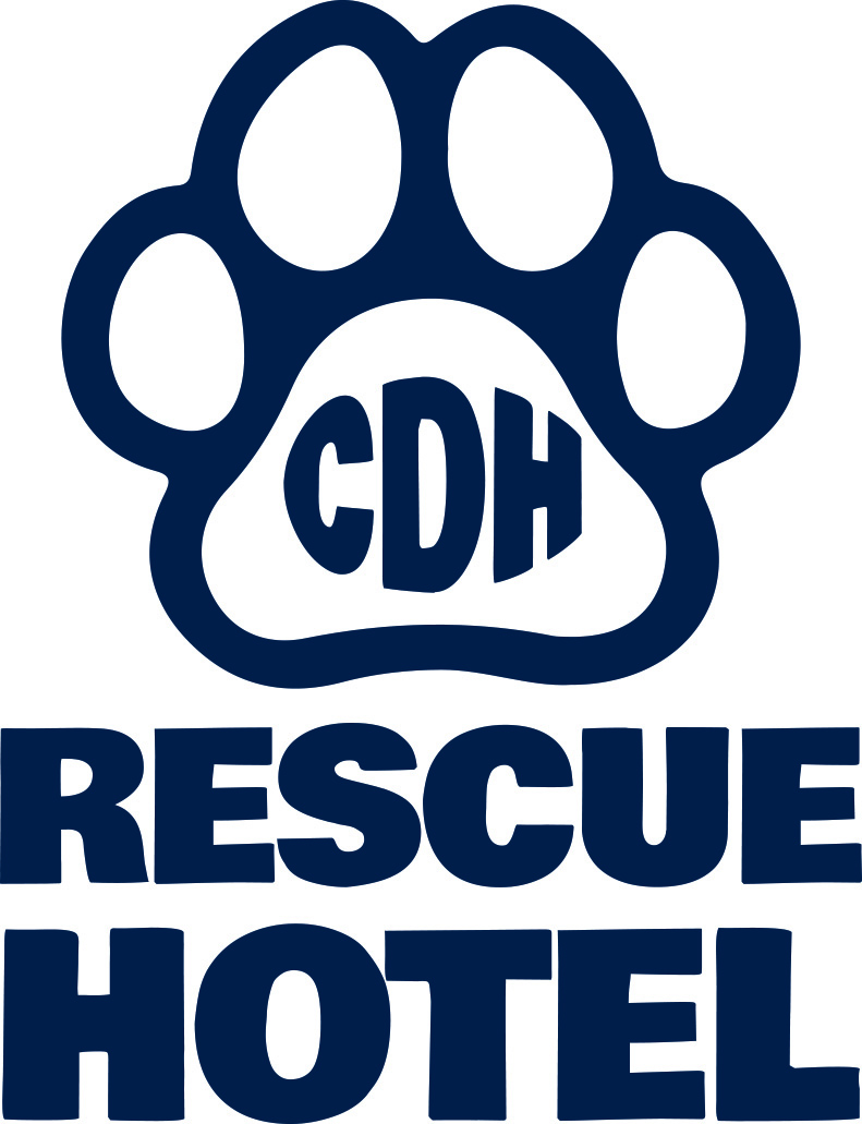 The Rescue Hotel