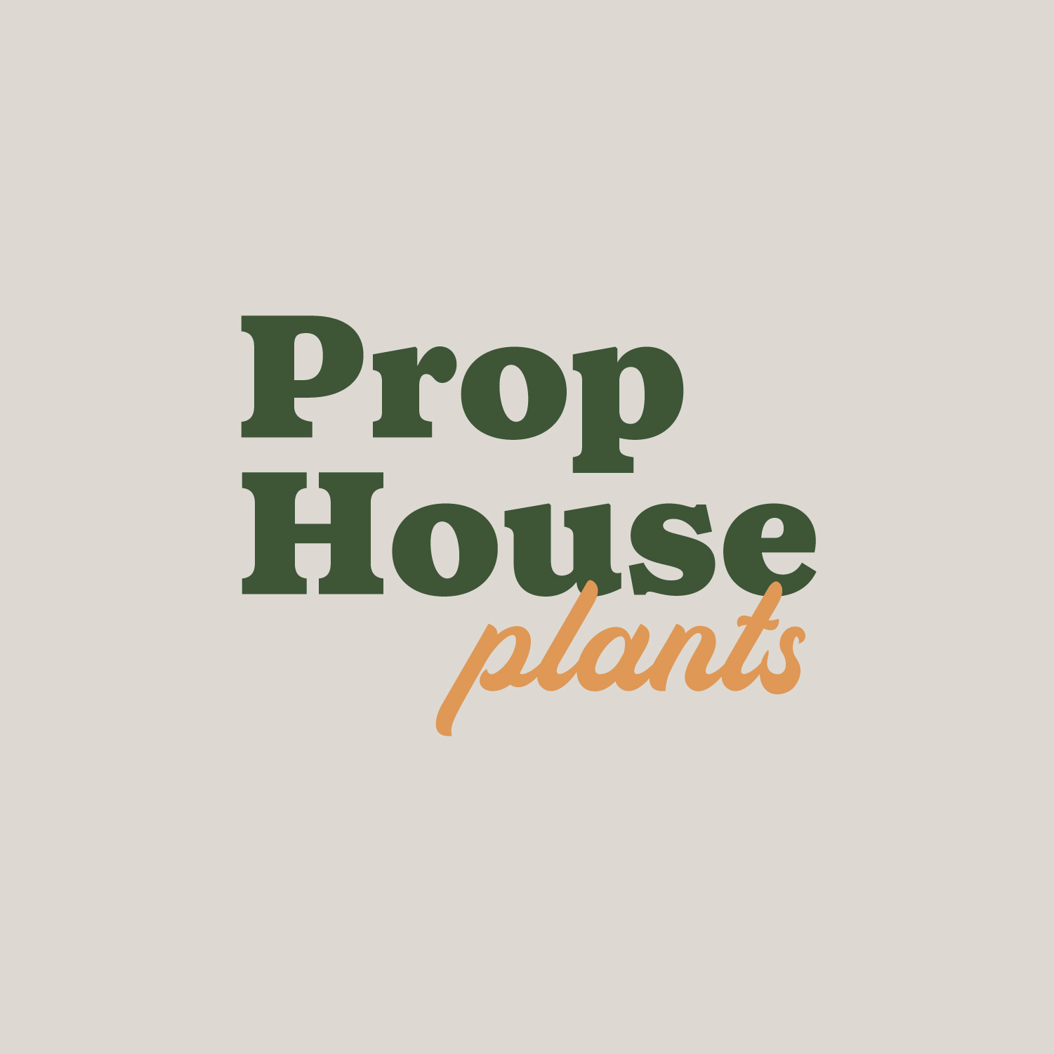 Prop House Plants