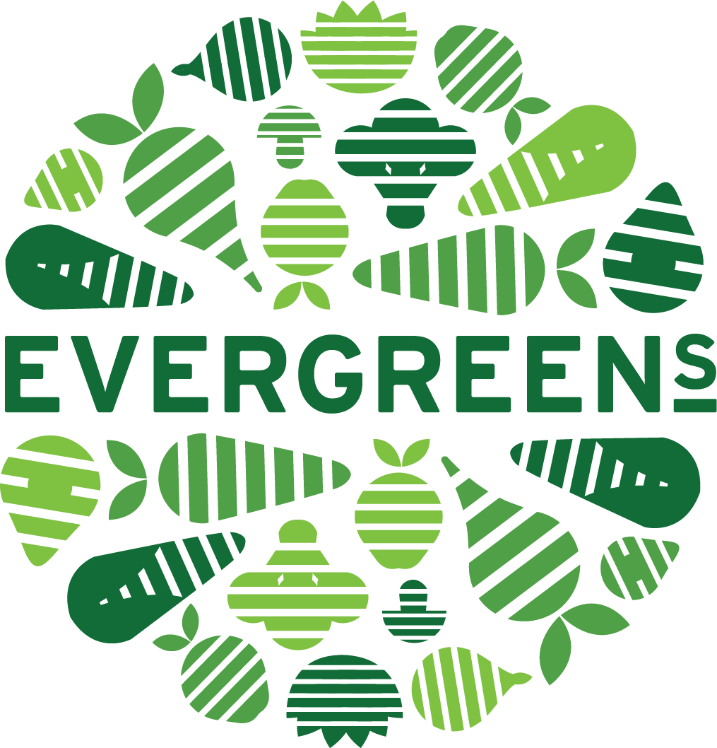 Evergreens