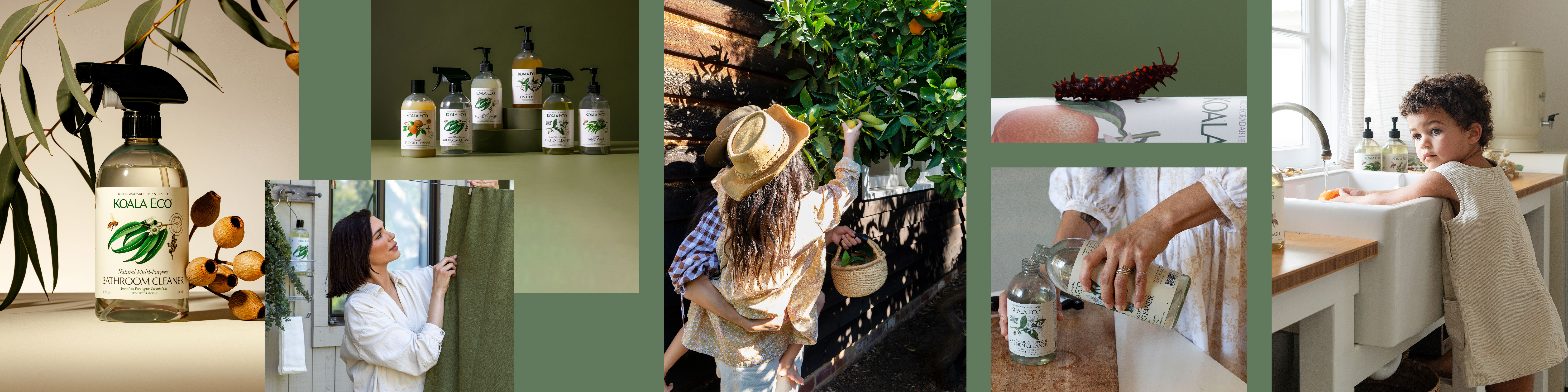 Koala Eco cover photo