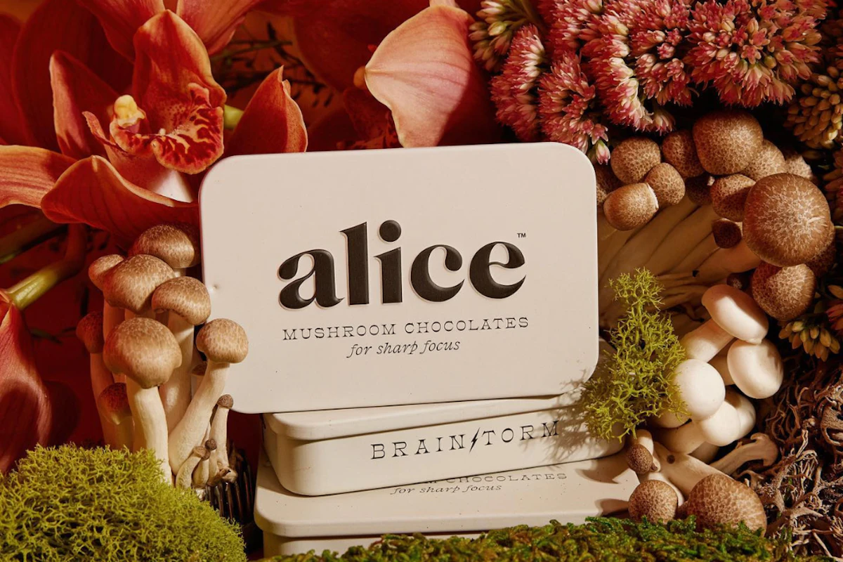 brand cover image