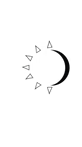 Sun & Selene