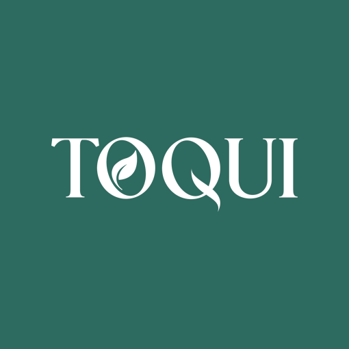 Toqui Energy