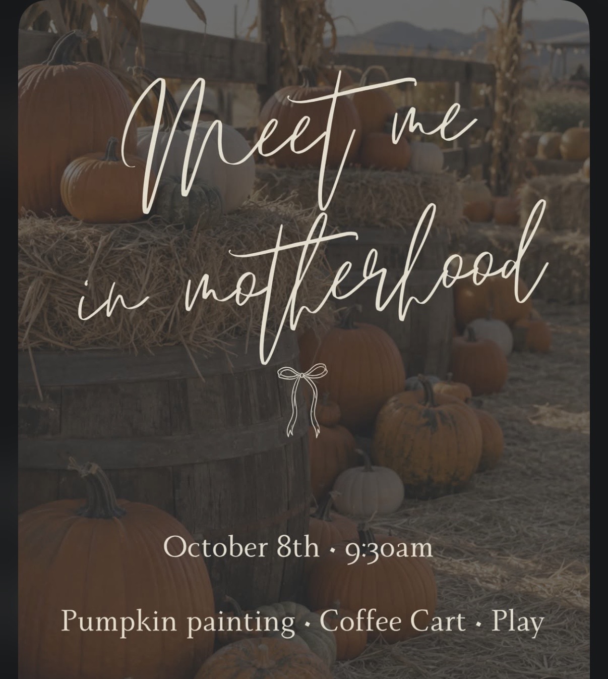 Meet Me in Motherhood- Mama meet up 100 guests