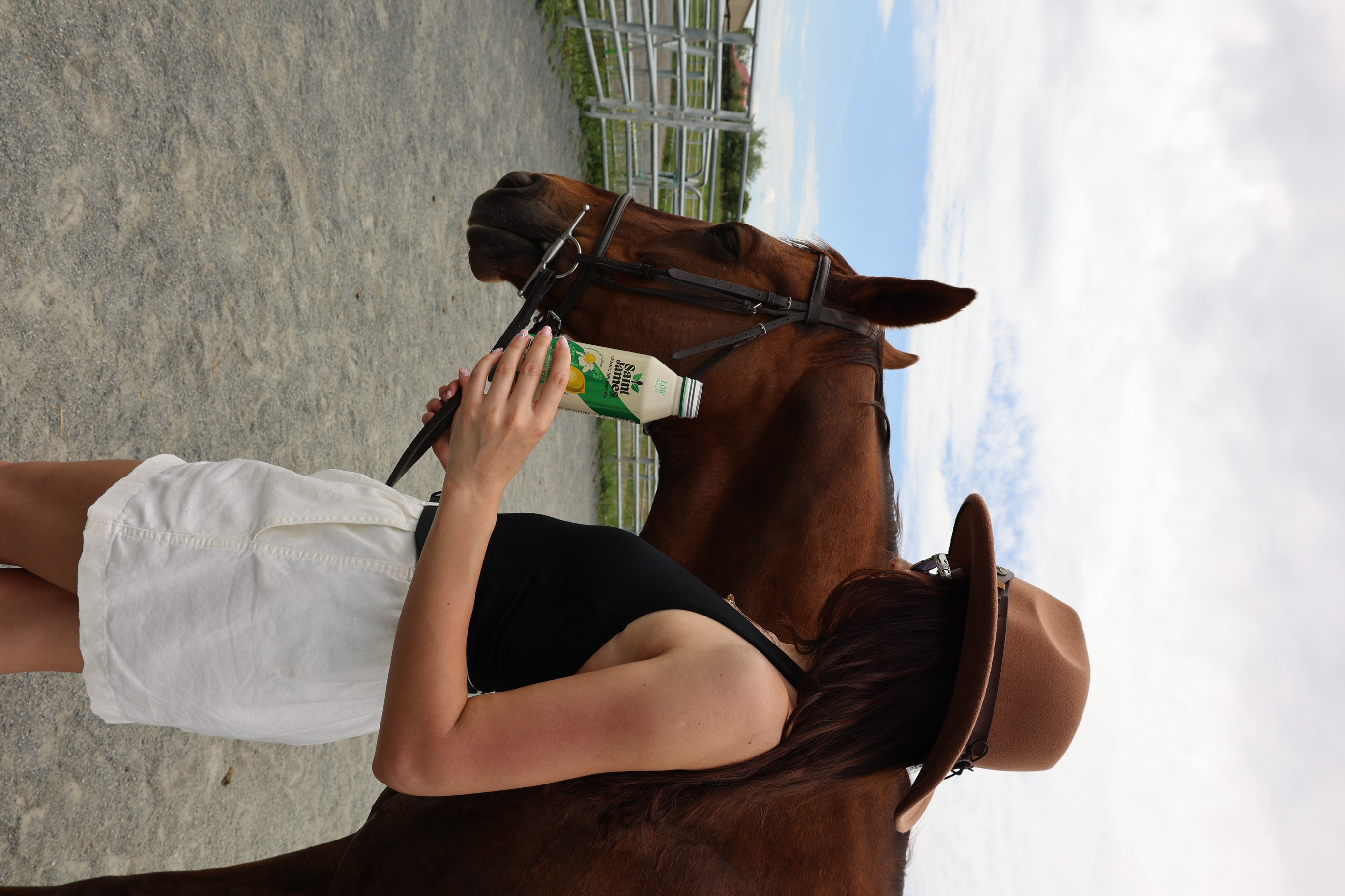 Mind and Body Retreats