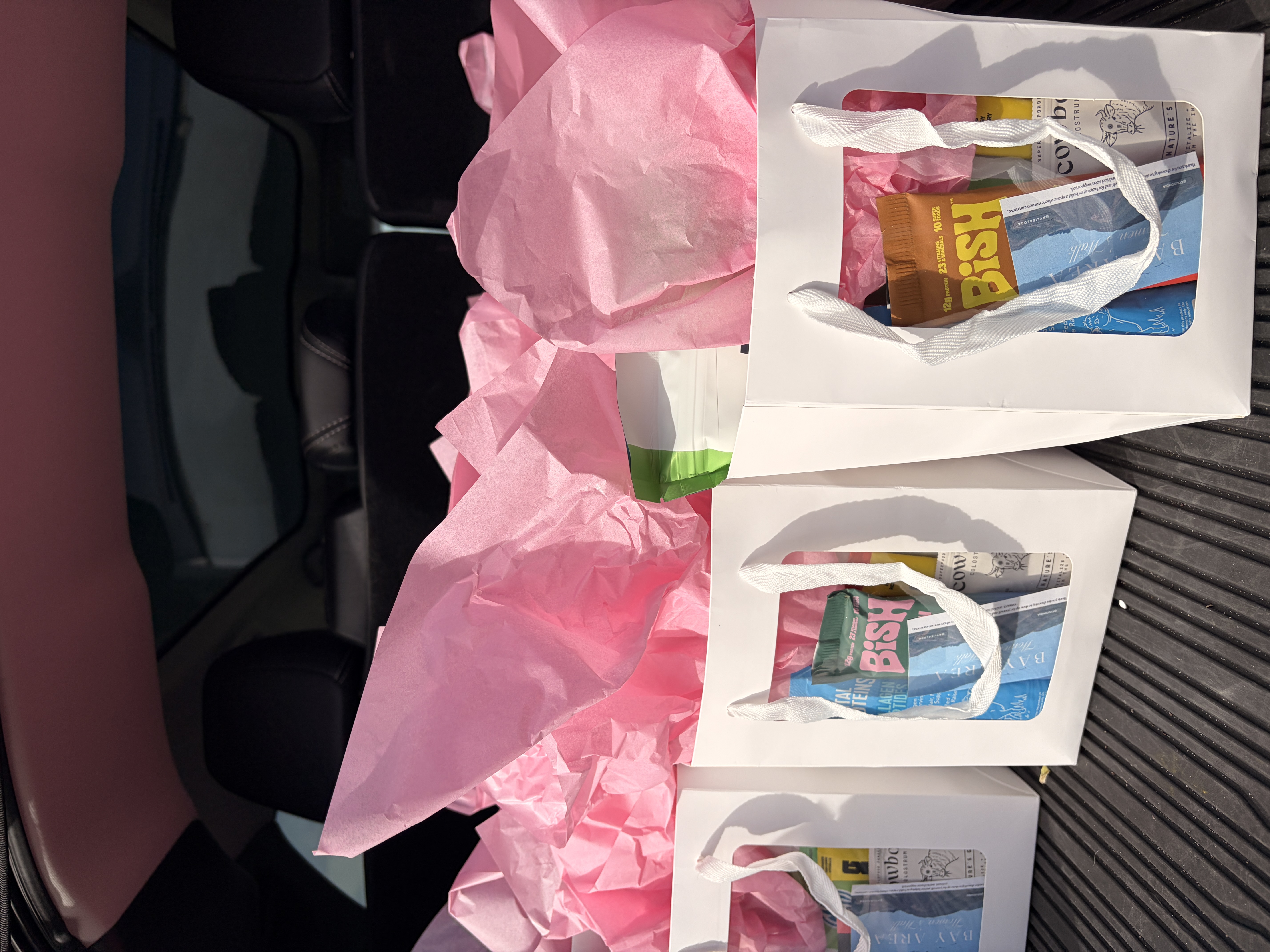 Bay Area Women's Walk