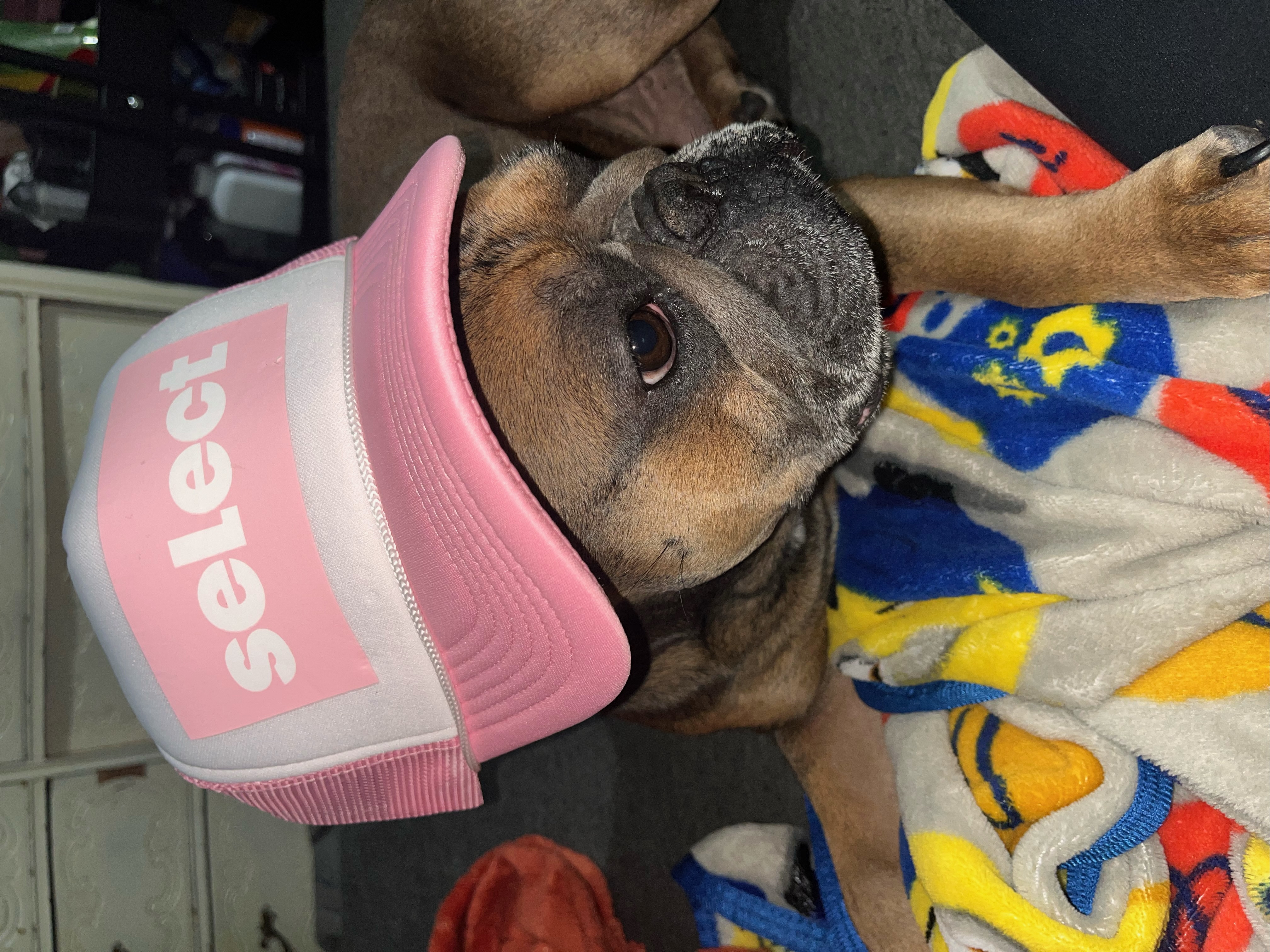 Small Moves: Pilates, Breath & Core