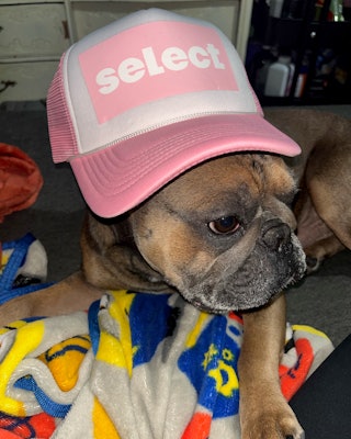 Small Moves: Pilates, Breath & Core