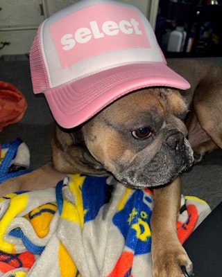 Small Moves: Pilates, Breath & Core