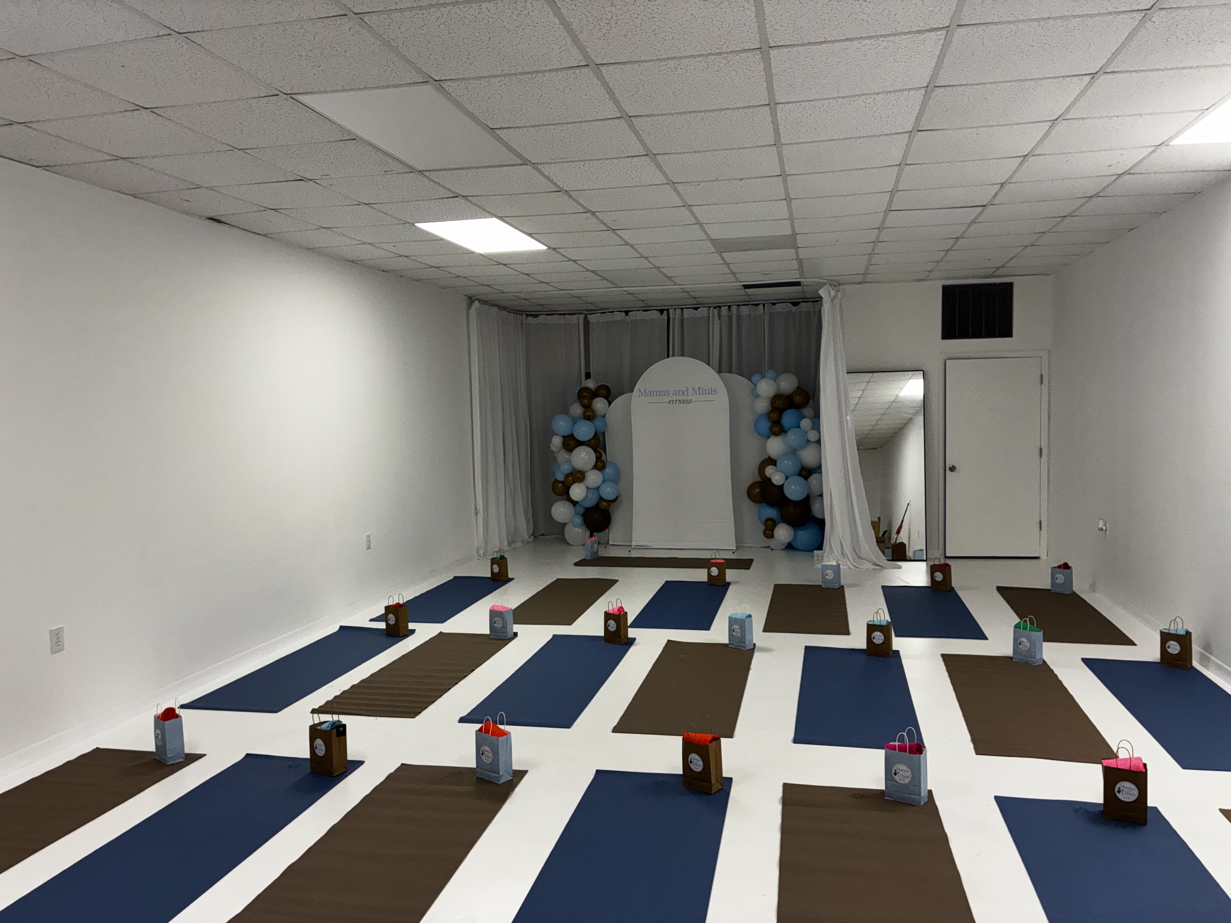 Mamas & Minis Fitness Co