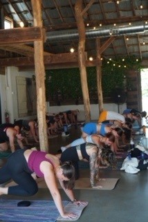 Still House Wellness