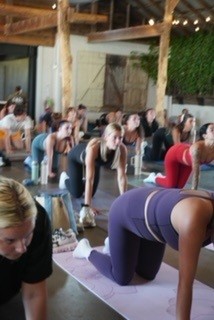 Still House Wellness