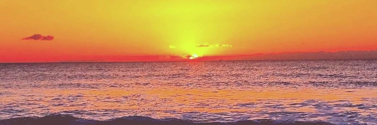 Nicole cover photo