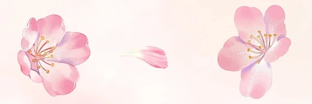 Charlotte cover photo