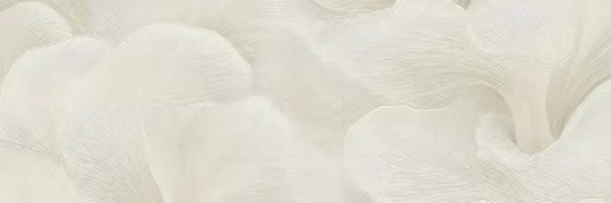 Cindy Socarras cover photo