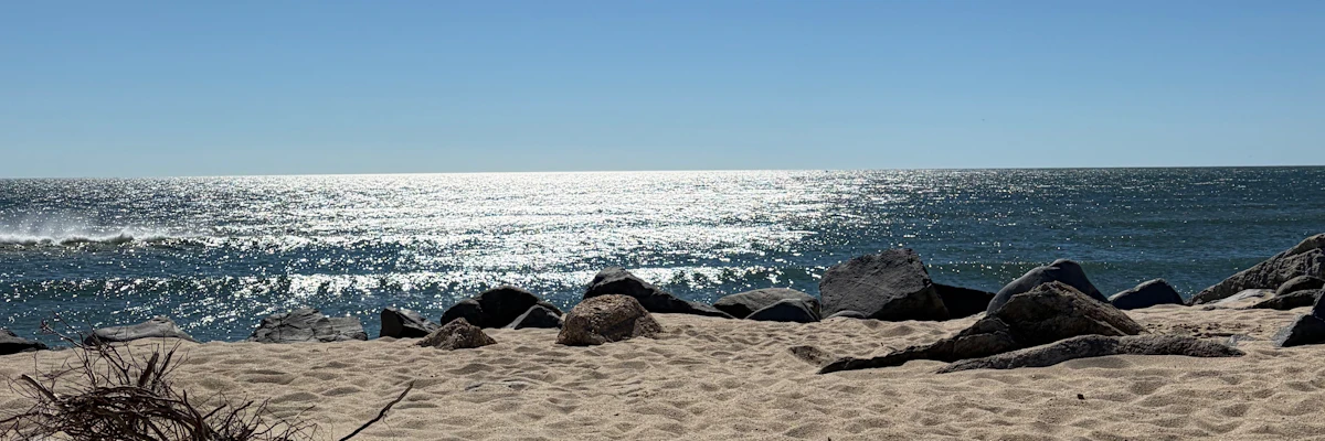 rachael durant cover photo