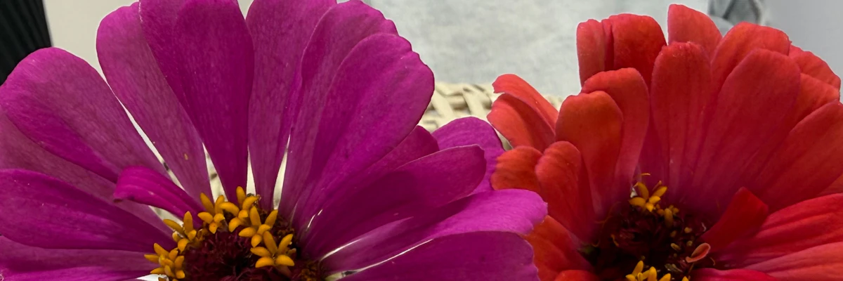 Jacki Barsuhn cover photo
