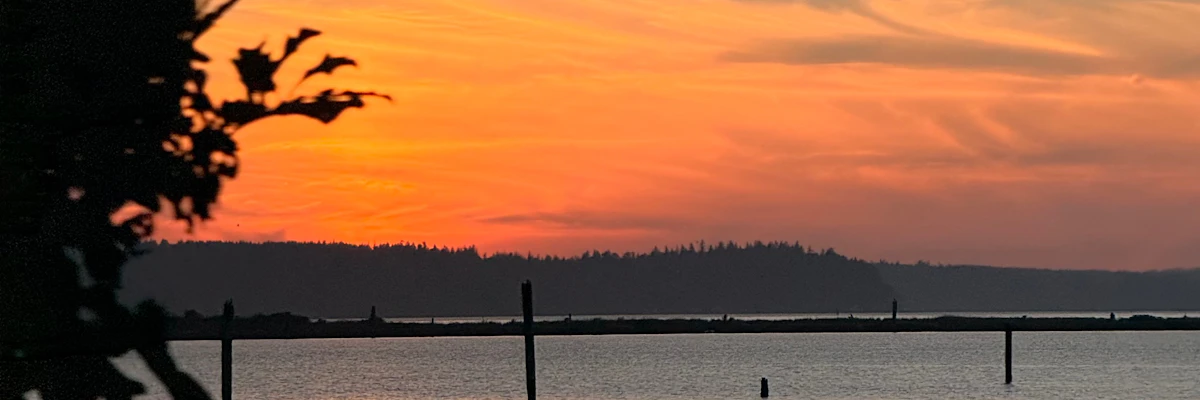 Matilda Joseph cover photo