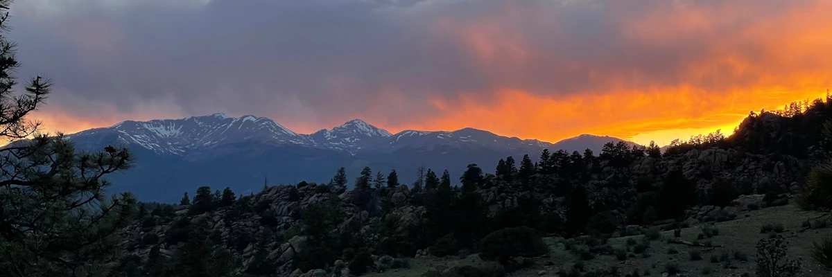 Annie Horsch cover photo