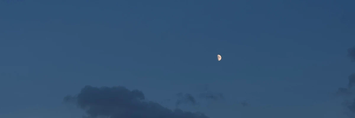 Campbell cover photo