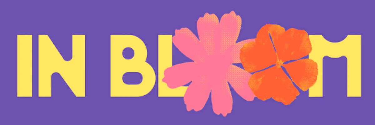 Anayo cover photo